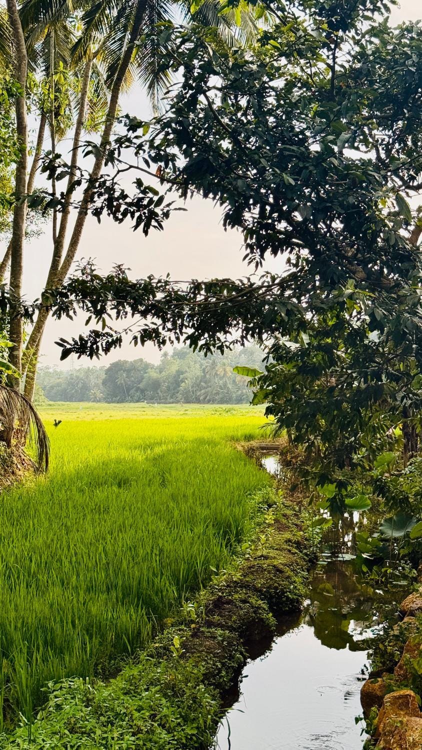 Nature Villa Villa in Southern Province
