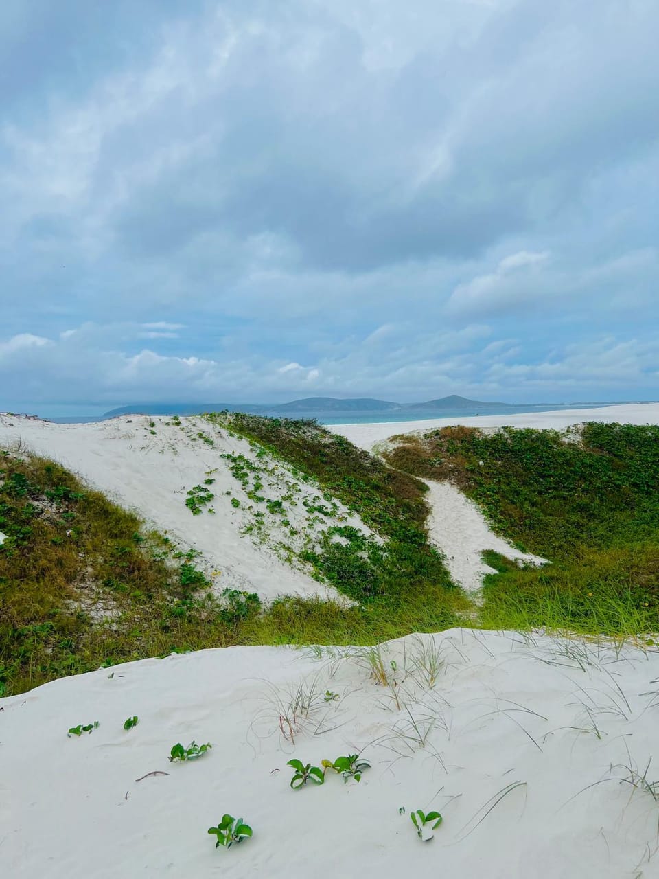 Natural landscape, Beach