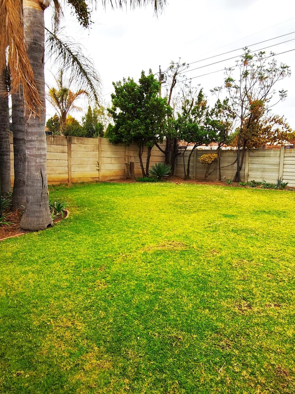 Garden view