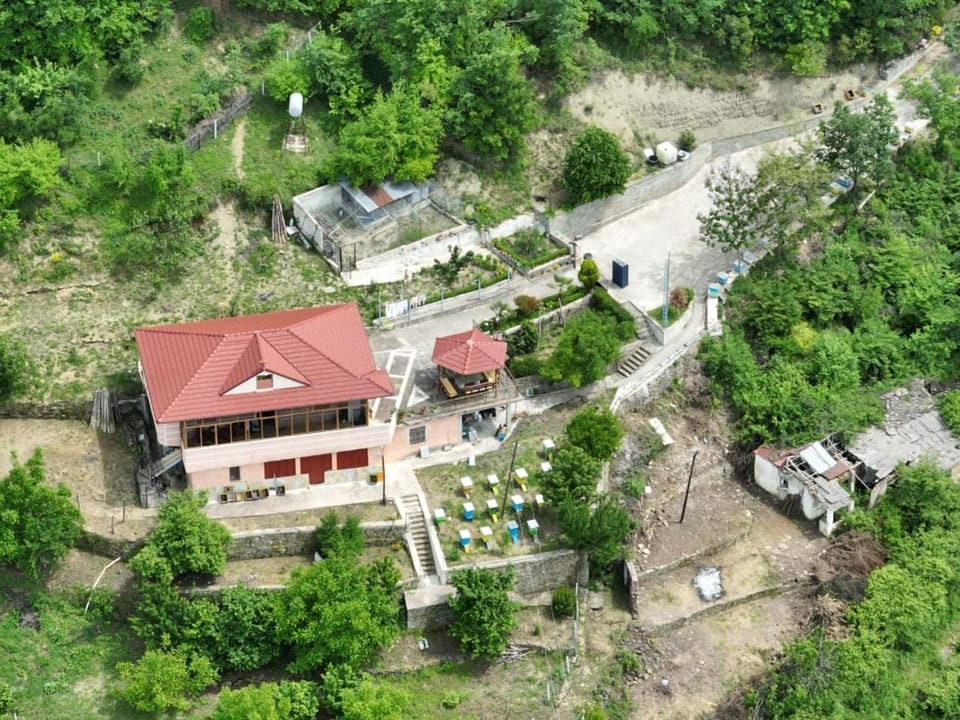 Property building, Bird's eye view