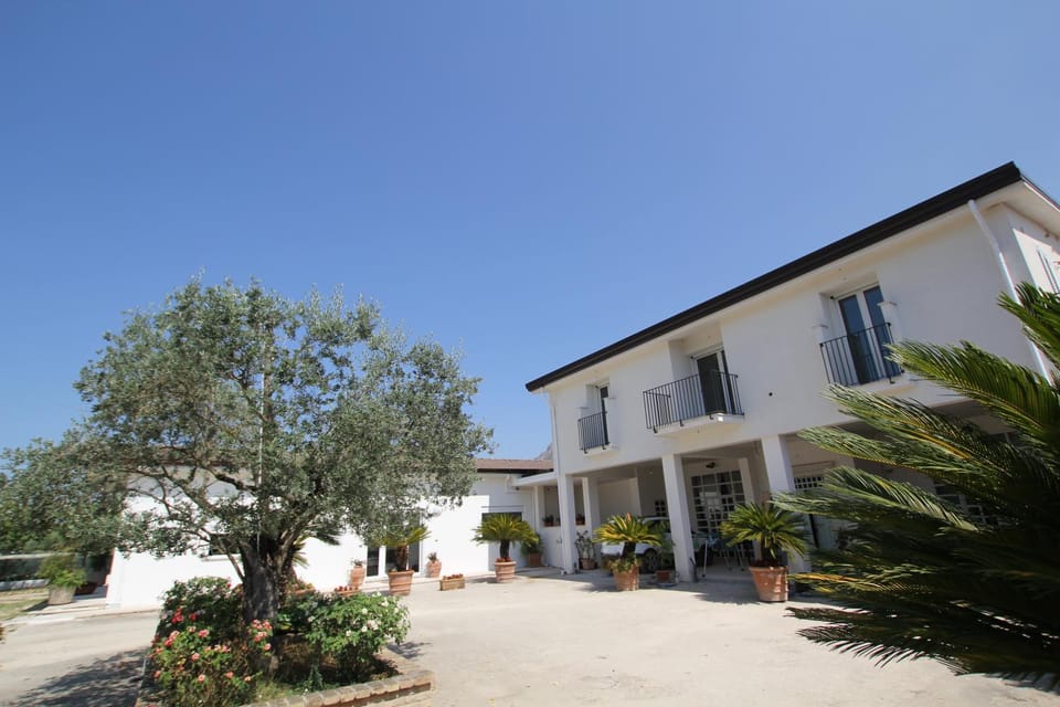 Property building, Day