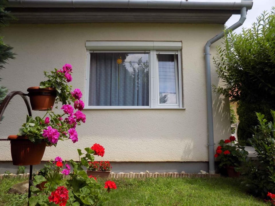 Property building, Summer, Garden