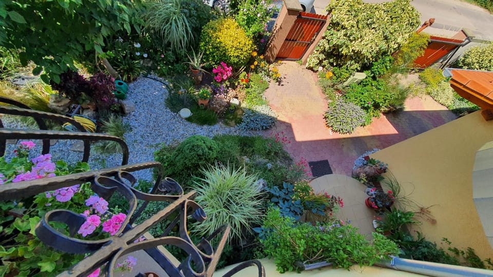 Summer, Garden