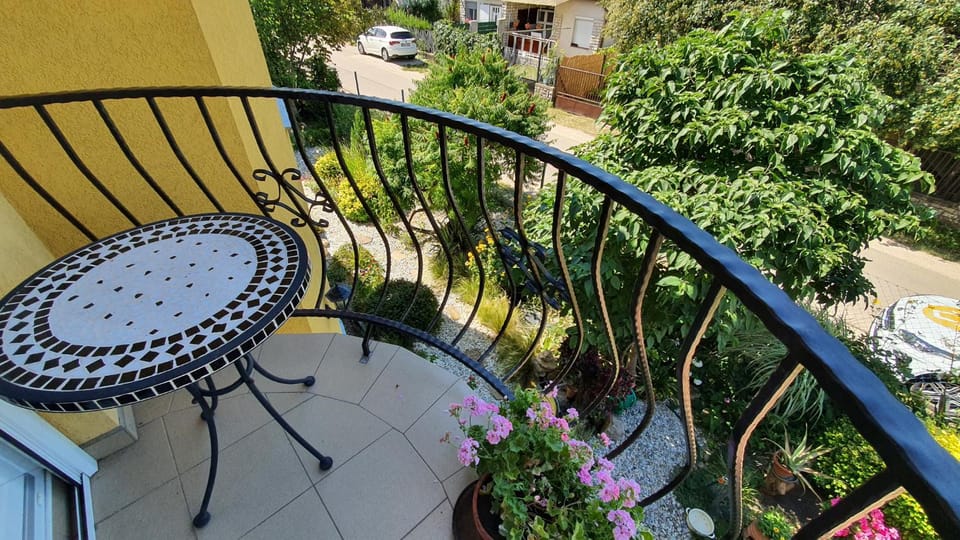 Summer, Garden