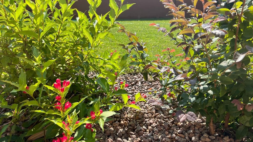 Garden view