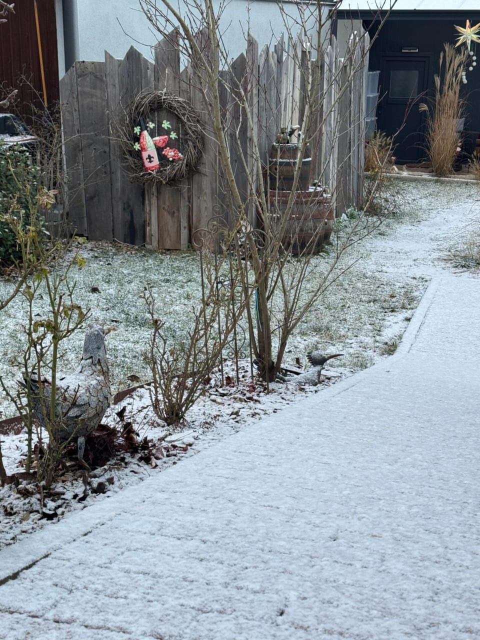 Winter