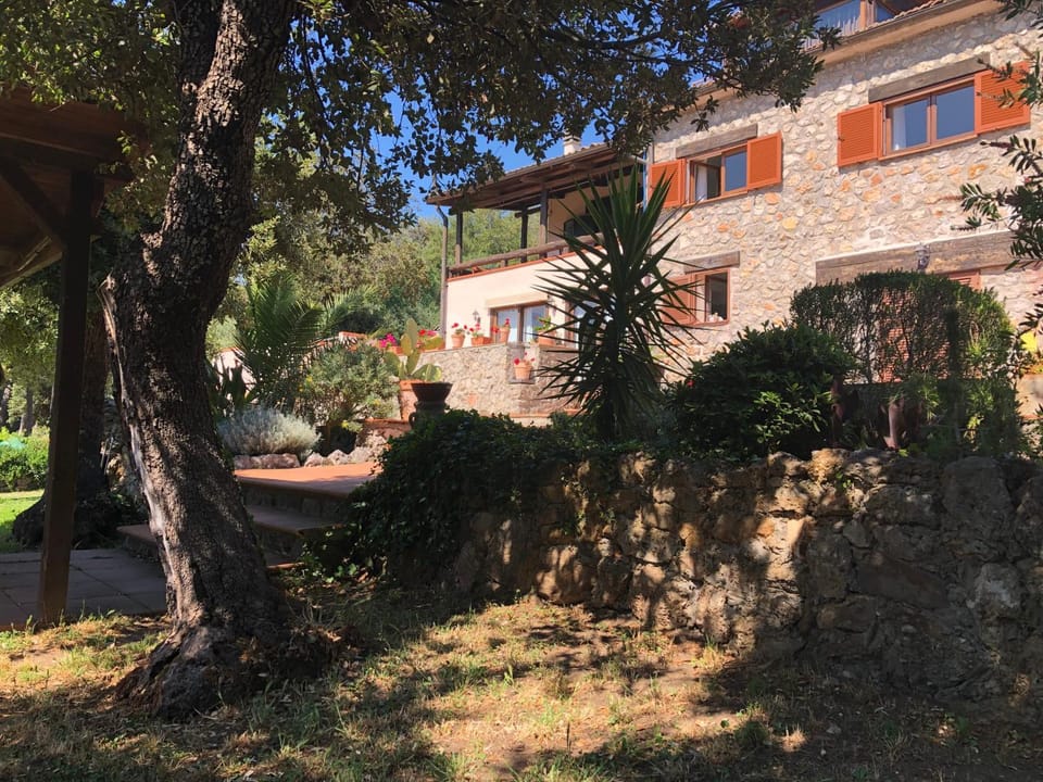 Property building, Garden