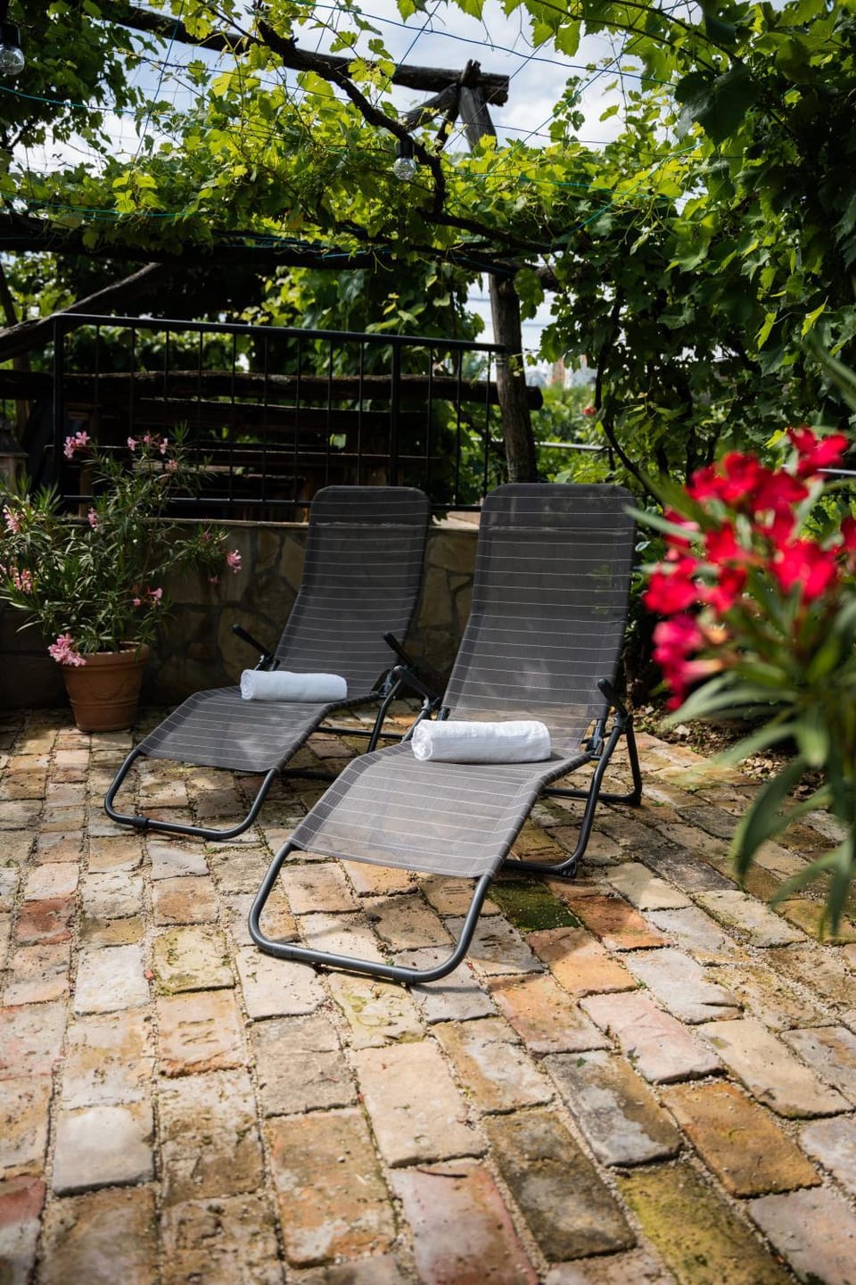 Garden, sunbed