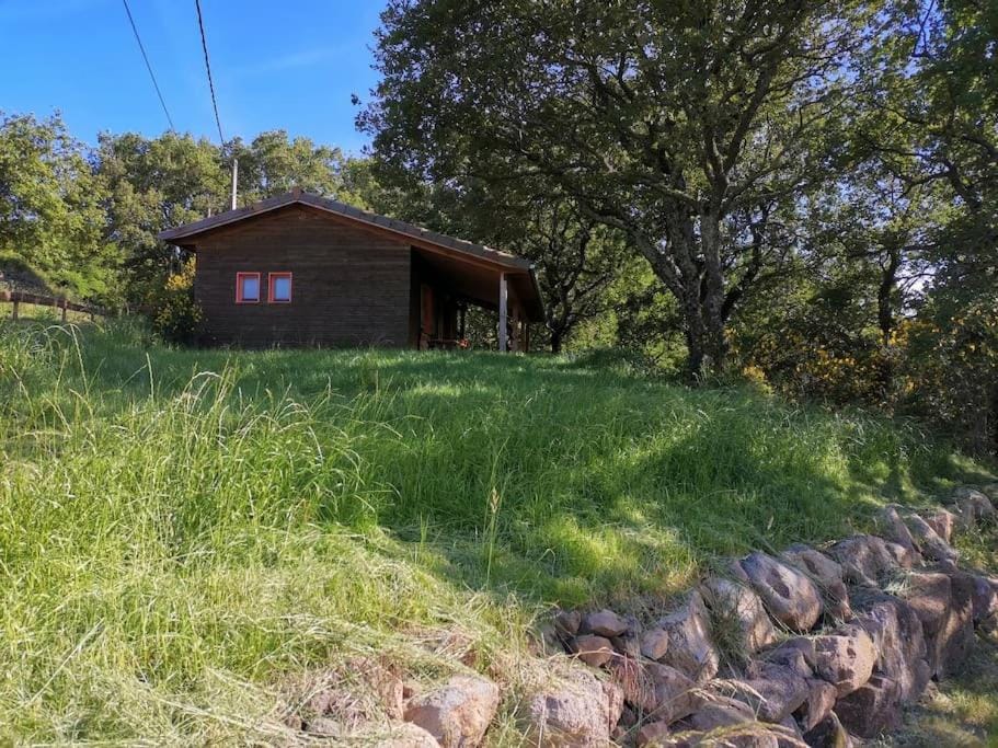 Natural landscape, Garden