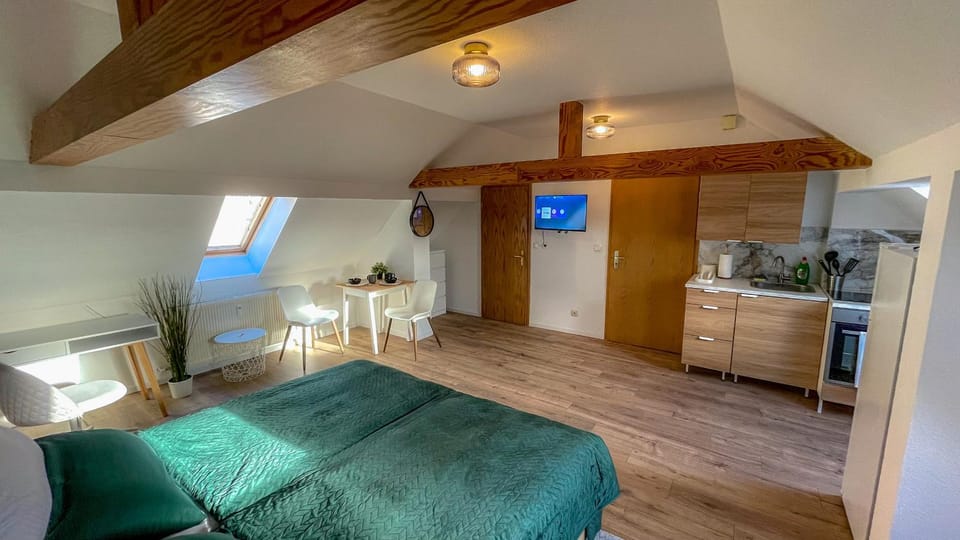 Bed, Kitchen or kitchenette, Photo of the whole room, Bedroom, oven, pet friendly