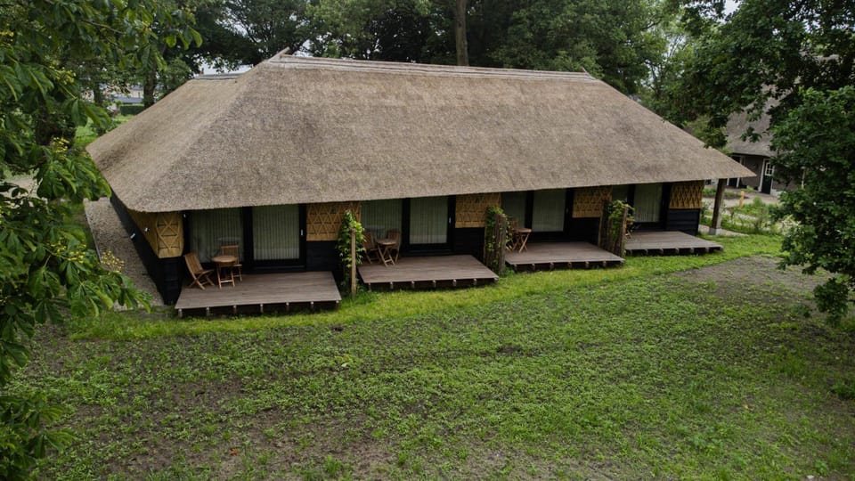 Property building, Day, Garden