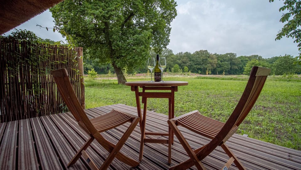 Patio, Day, Natural landscape, Garden
