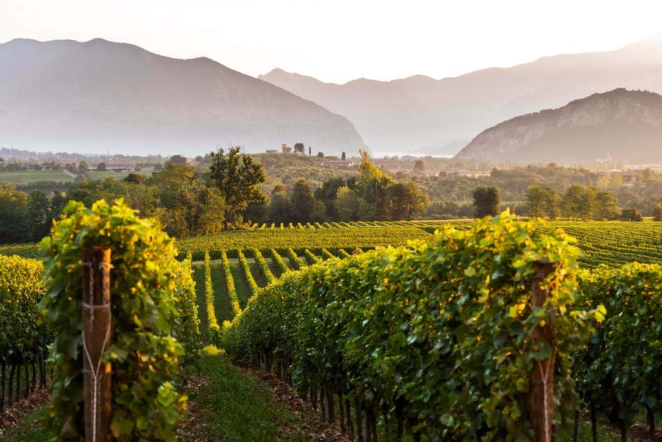 Nearby landmark, Spring, Natural landscape