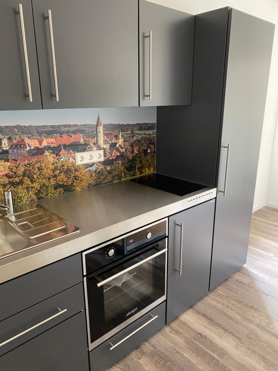 Kitchen or kitchenette, oven, pet friendly, stove