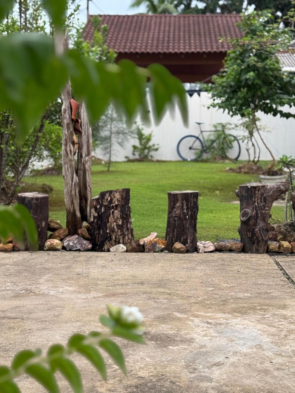 Day, Natural landscape, Garden, Garden view