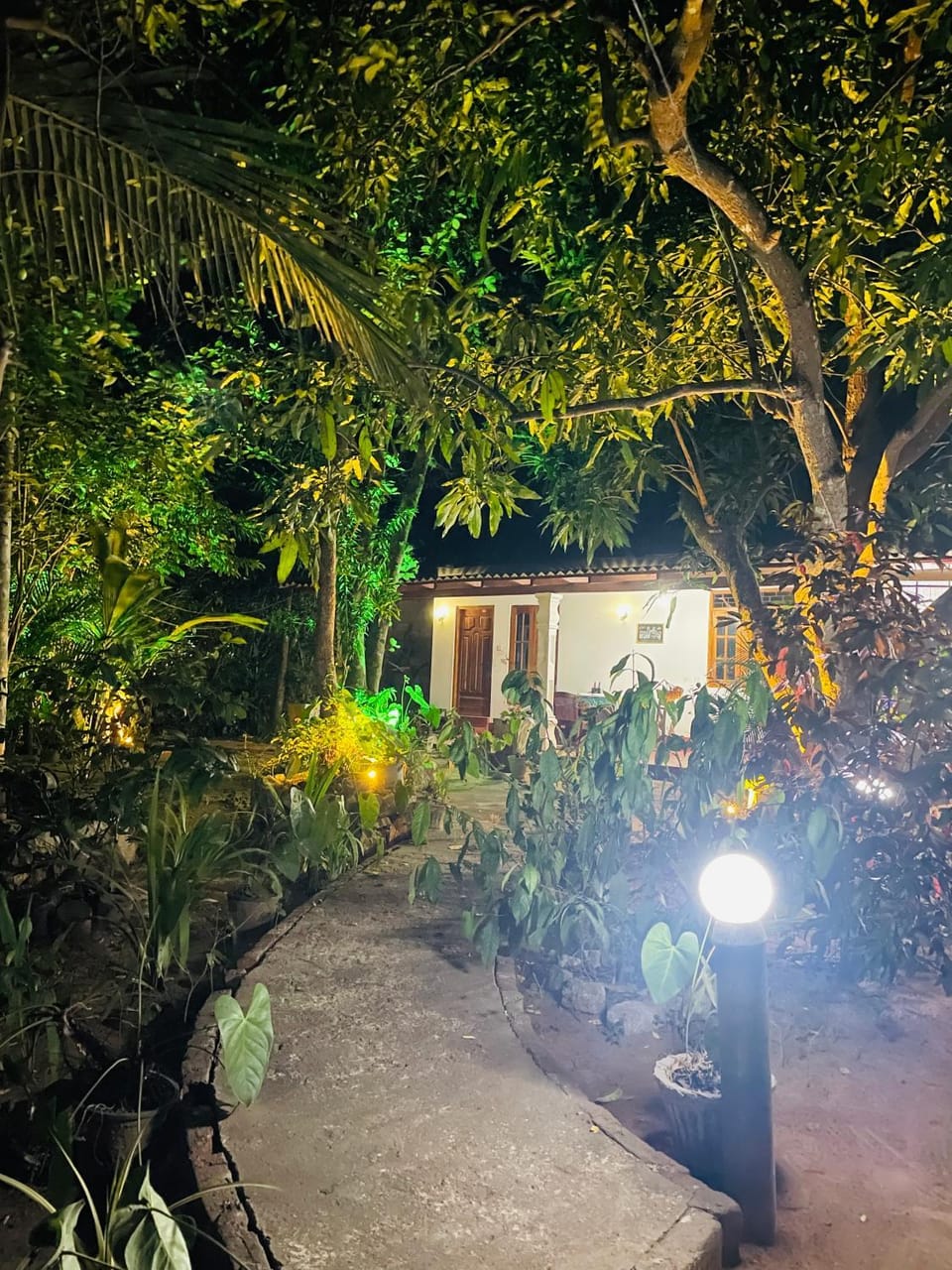 Spring, Night, Garden, Garden view