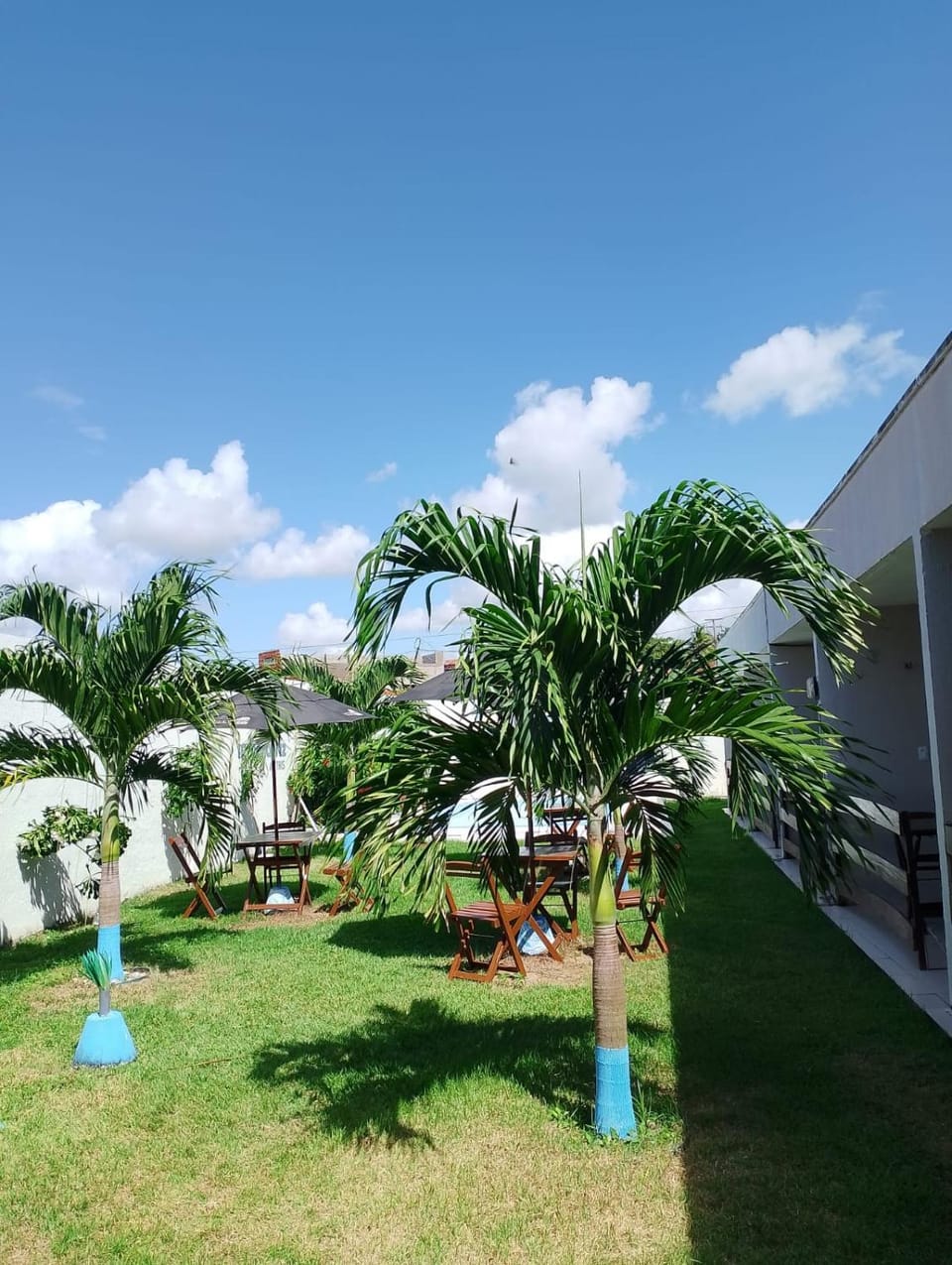 Day, Natural landscape, Garden, Garden