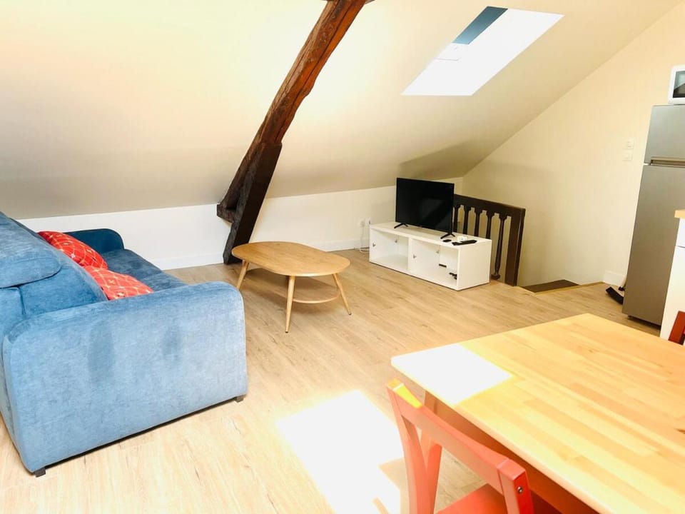 T2 Lumineux hyper centre Apartment in Orléans