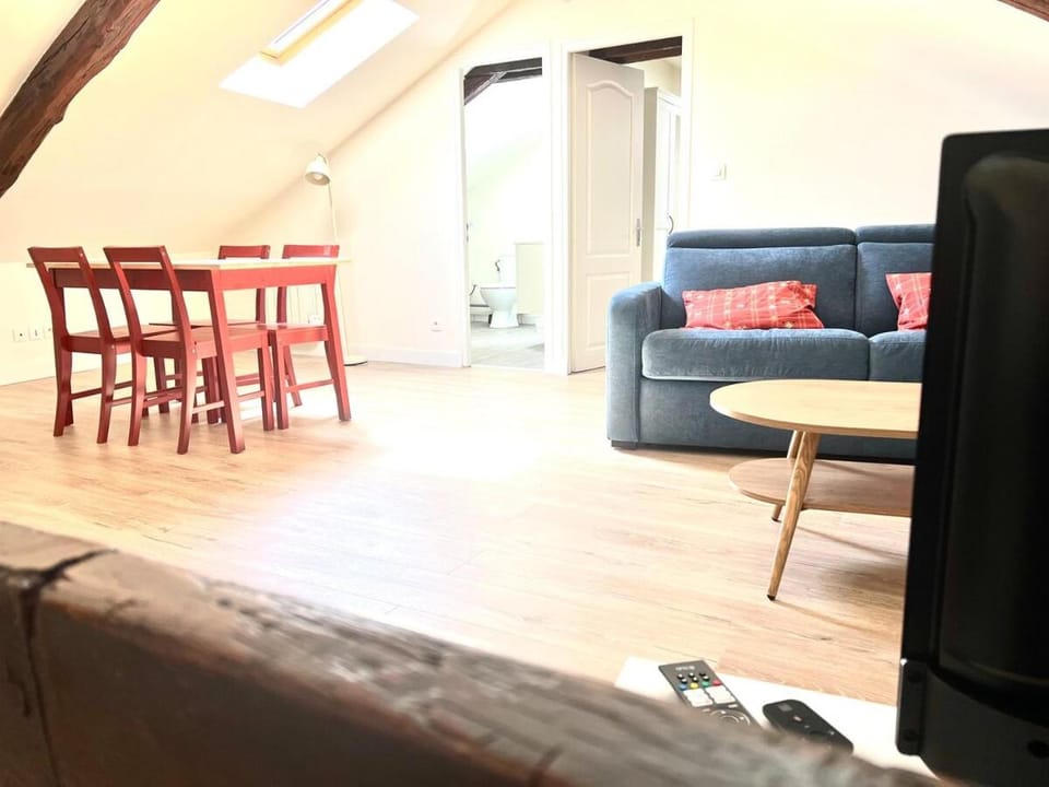 T2 Lumineux hyper centre Apartment in Orléans