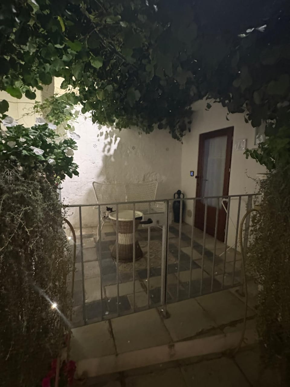 Patio, Night, View (from property/room)