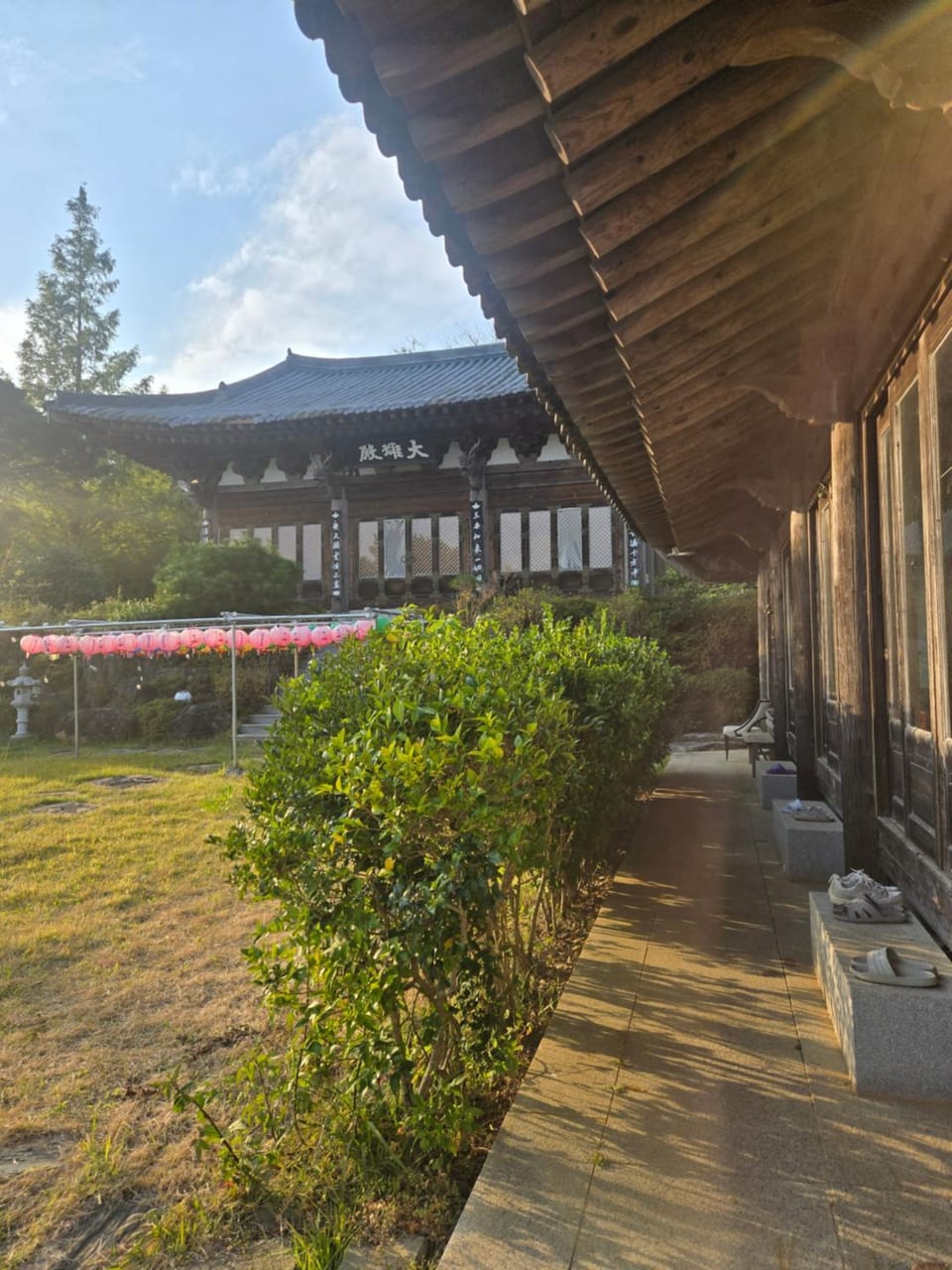Pet Friendly Hanok Temple Stay Nature lodge in South Korea