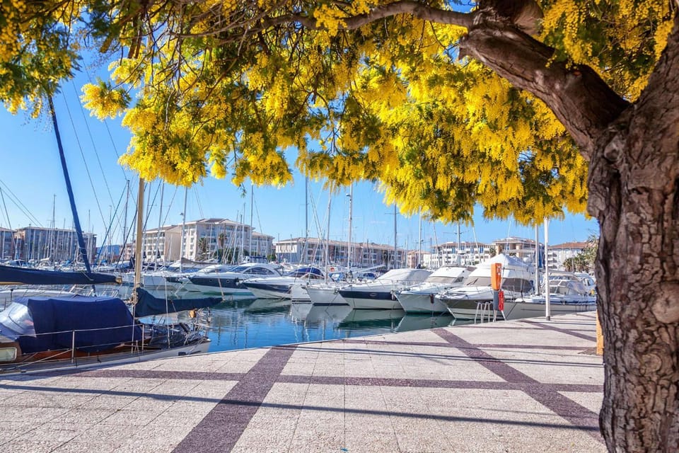 Nearby landmark, Day, Natural landscape, Activities, City view, Sea view