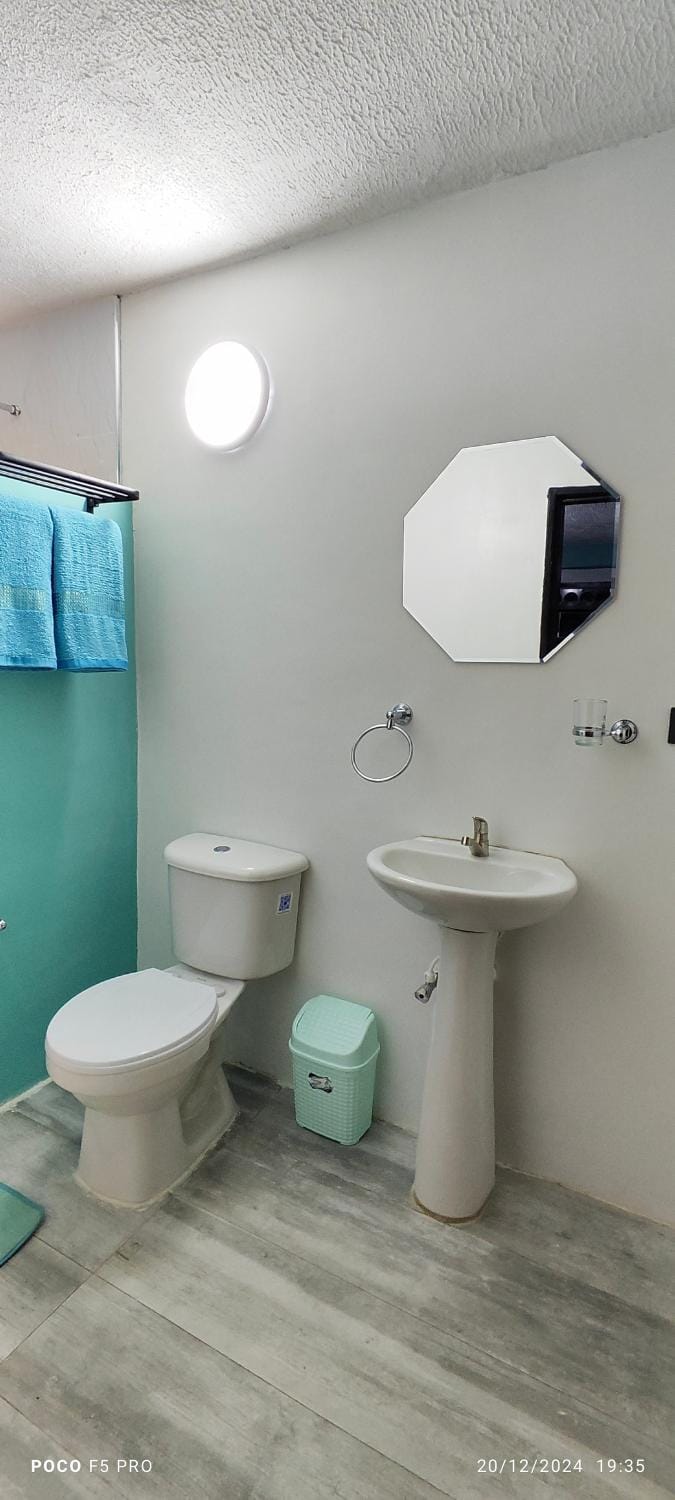 Toilet, Bathroom, bidet