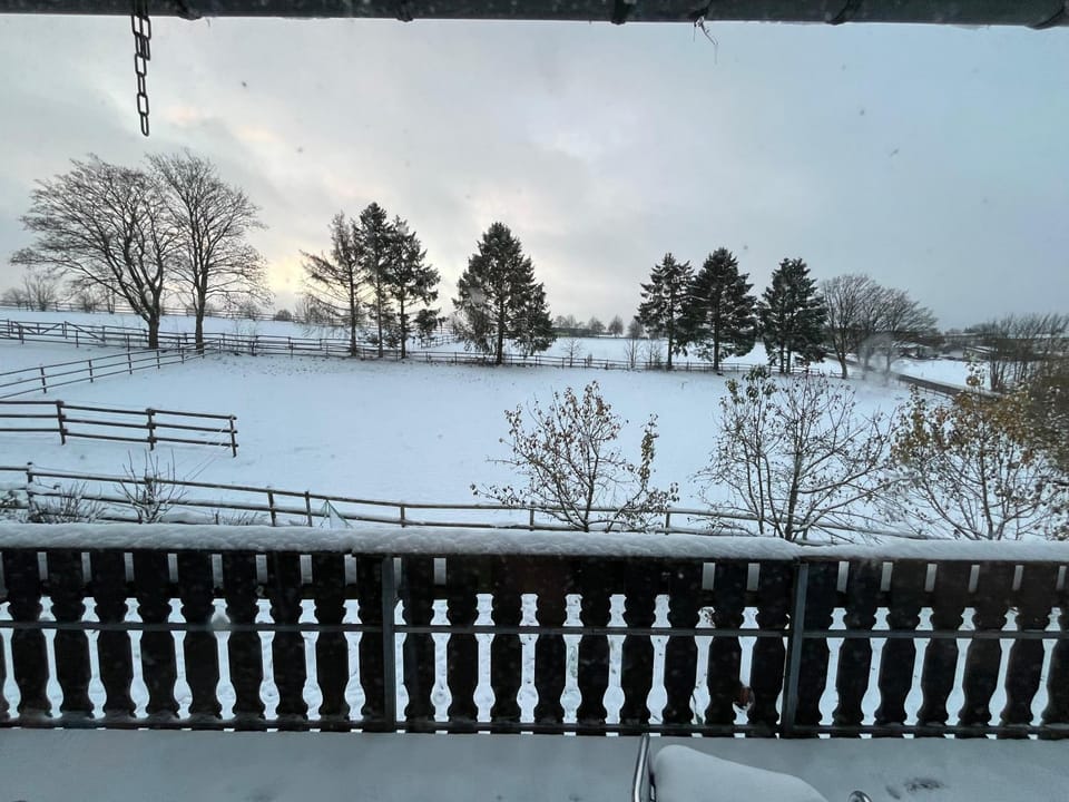 Natural landscape, Winter