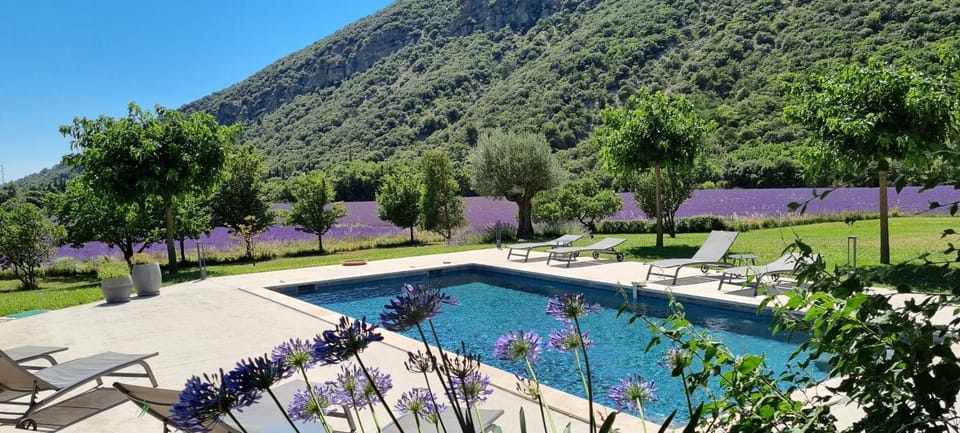 Pool view, Swimming pool