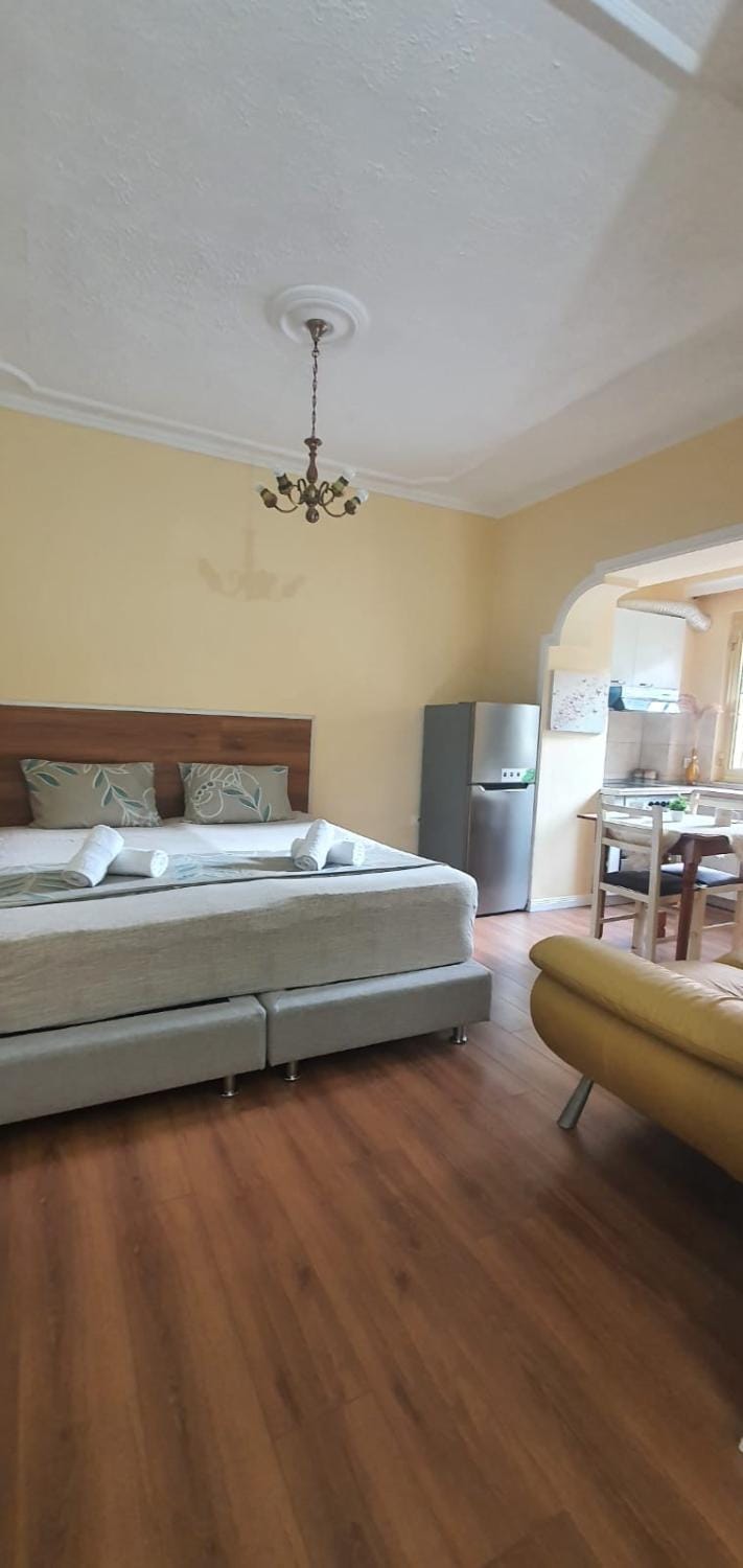 Myslym Shyri cozy condo Apartment in Tirana