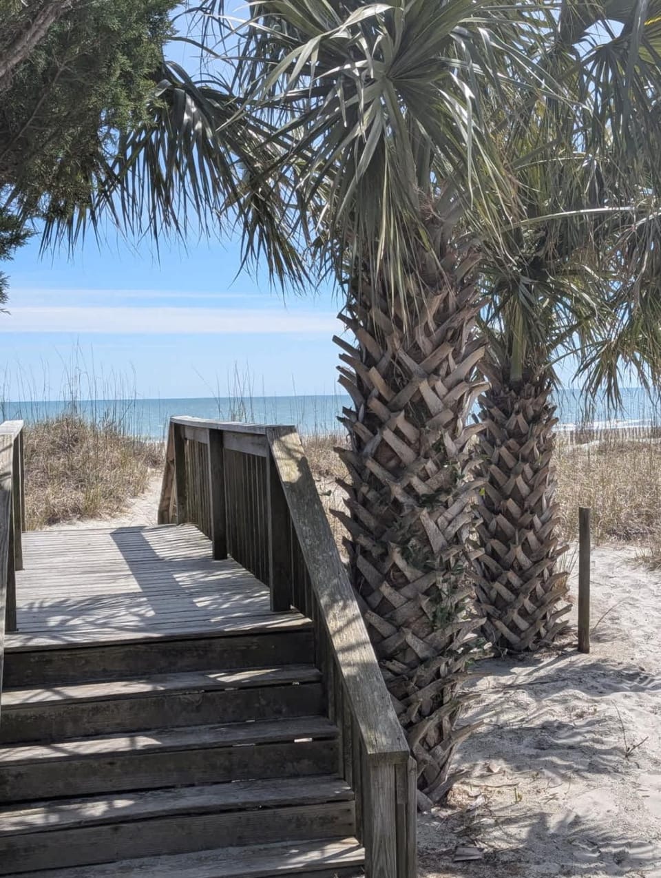 Ocean Forest Villas Ocean View Unit B116 House in Myrtle Beach