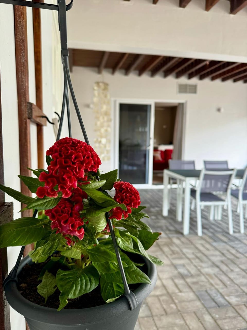 Patio, Seating area, Dining area