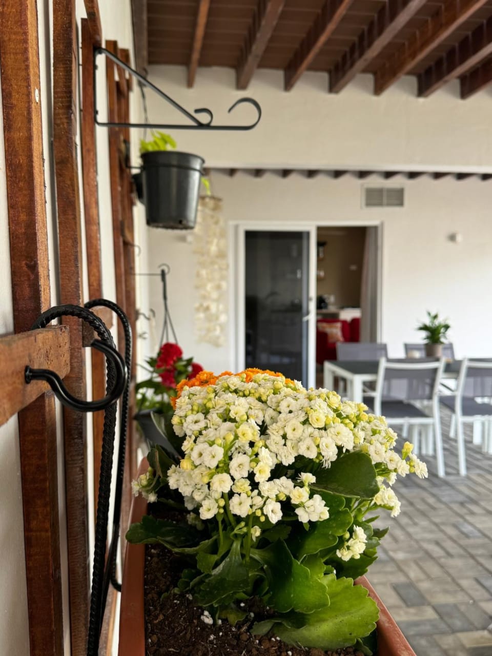 Seating area, Dining area