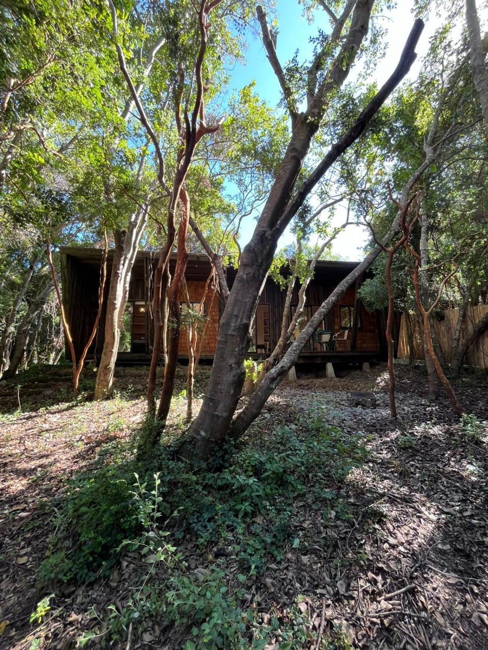 Bosque Escondido House in Pucon