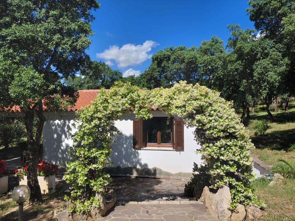 Serenella House in Sardinia