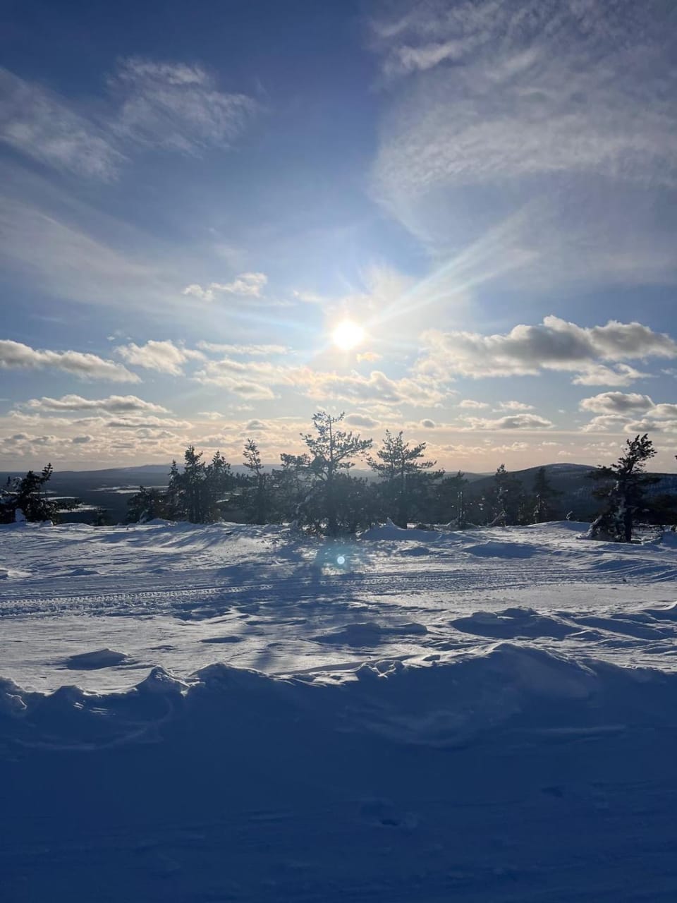 Sky Hovi Levi Apartment in Lapland