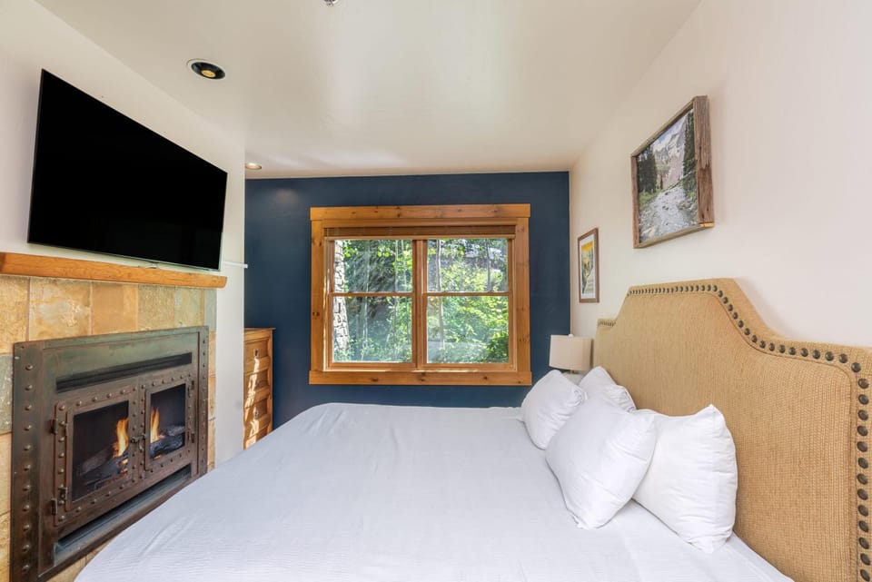 Bright 1BR Condo - Walk to Gondola! House in Telluride