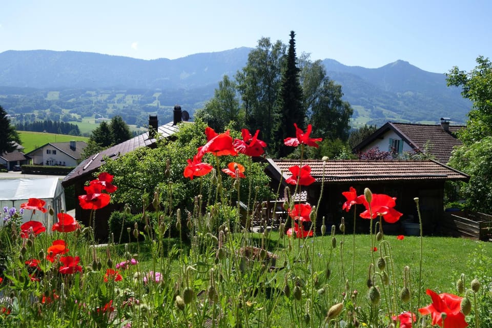 Summer, Garden, Garden view