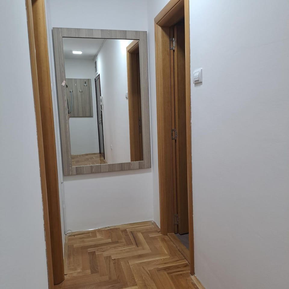 Apartman Burinović Apartment in Novi Sad