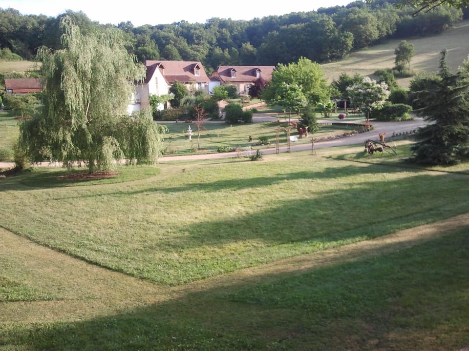 Garden view