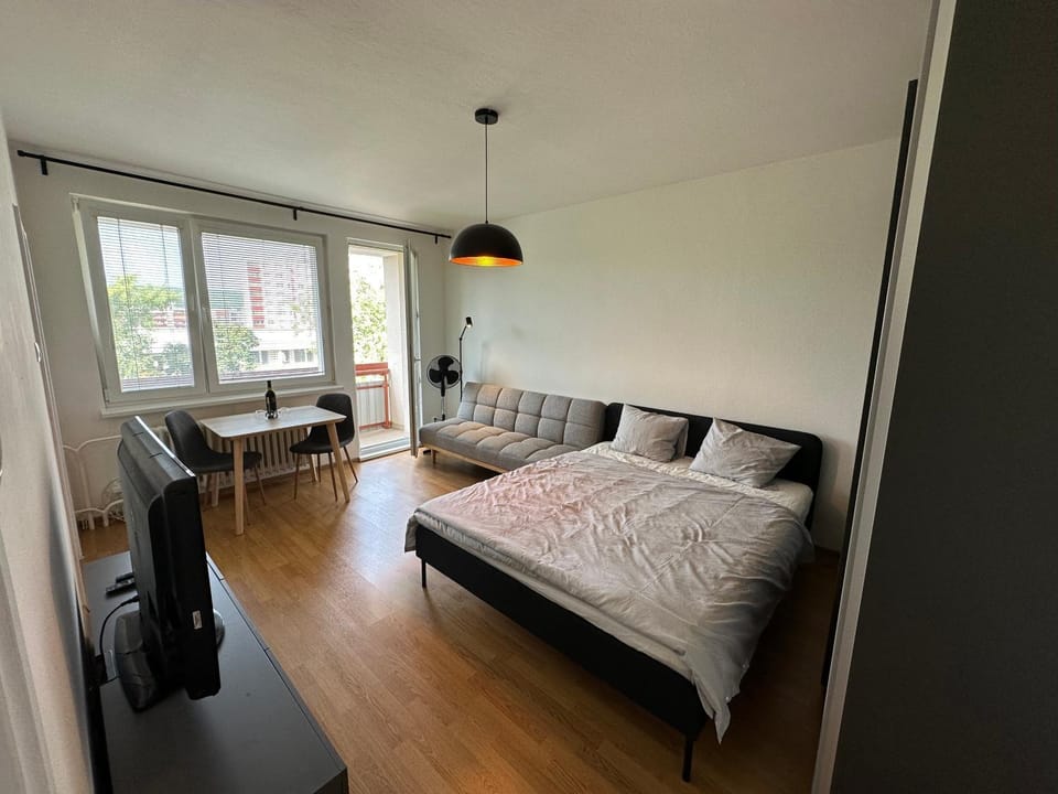Bed, Living room, Photo of the whole room, Seating area, Dining area, Bedroom