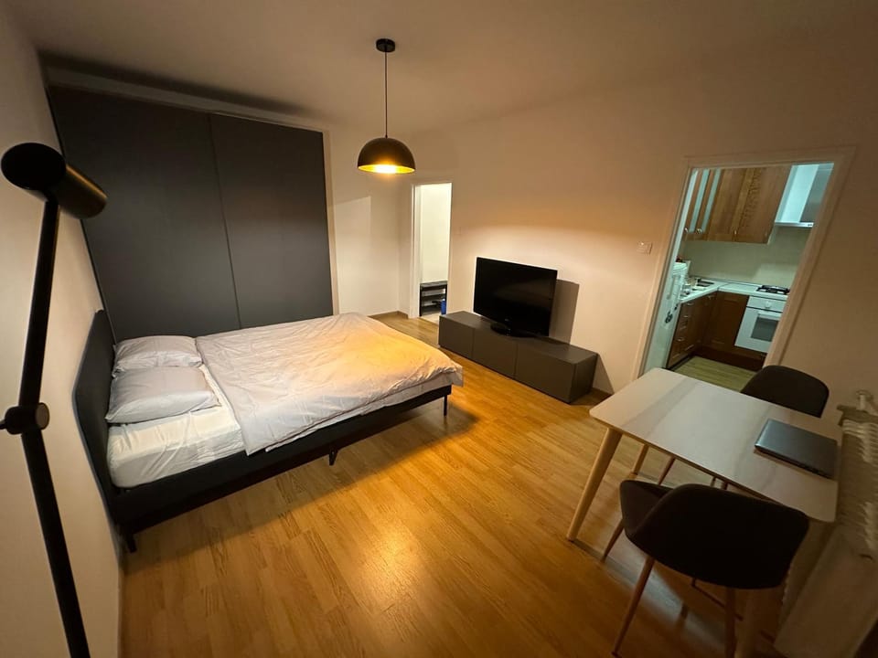 Bed, TV and multimedia, Living room, Photo of the whole room, Seating area, Dining area, Bedroom
