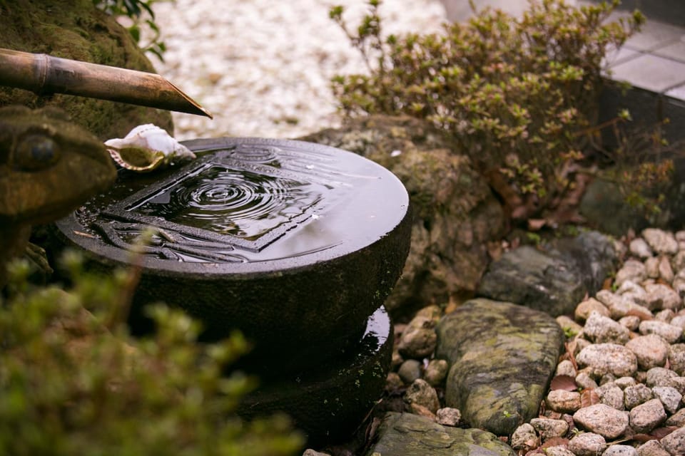 Natural landscape, Garden
