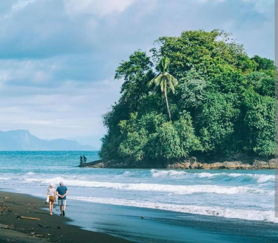 Mar y Selva Inn in Choco, Colombia