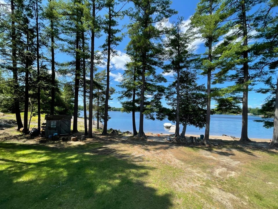 Natural landscape, Garden, Lake view