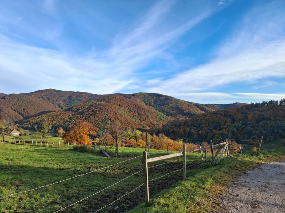 Neighbourhood, Natural landscape, Autumn, Mountain view