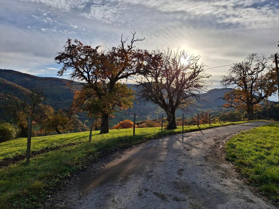 Neighbourhood, Natural landscape, Autumn, Mountain view