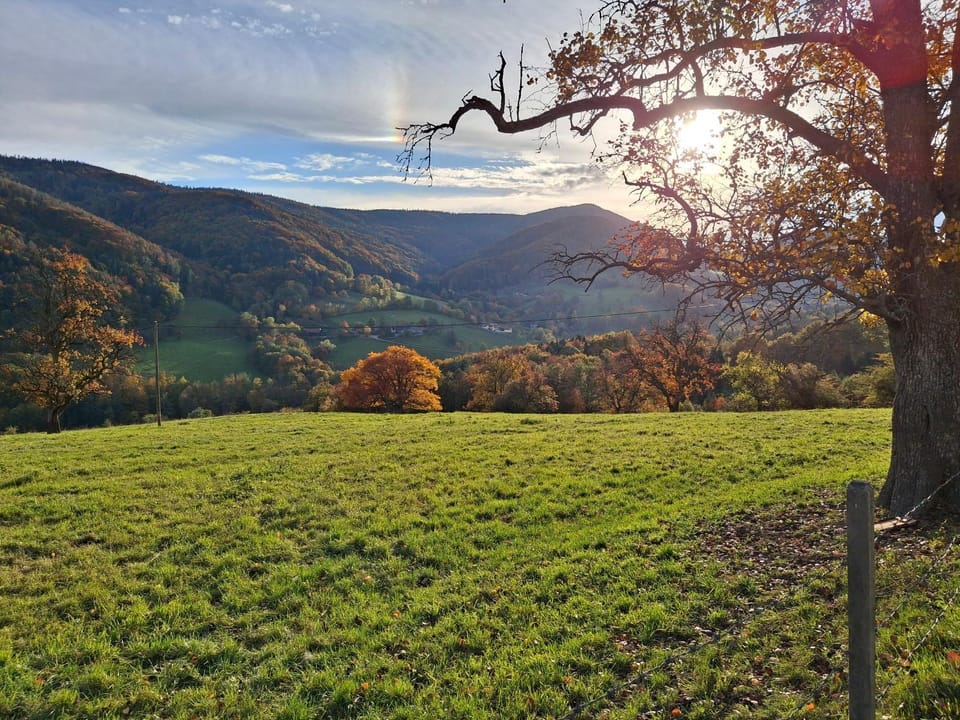 Neighbourhood, Natural landscape, Autumn, Mountain view