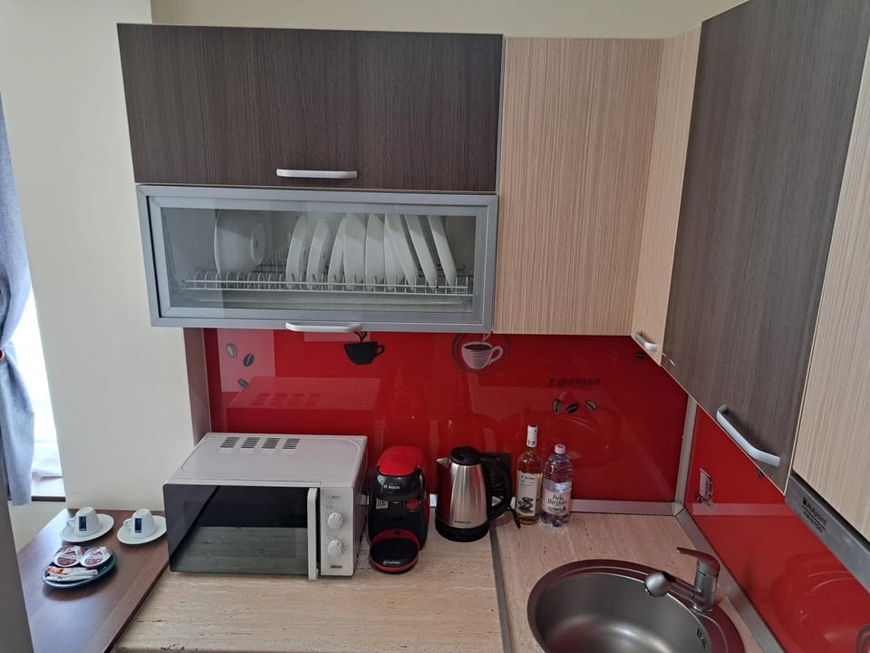 Chic studio apartment Apartment in Brasov