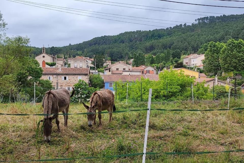 Brah Apartment in Occitanie
